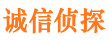 融安市调查公司